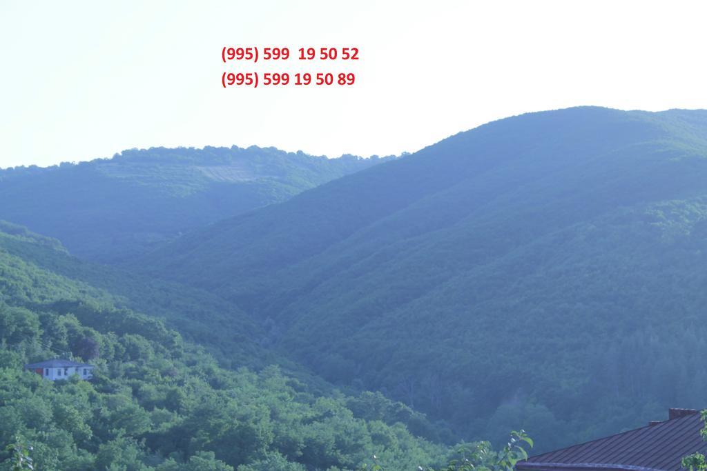 Best Host Sighnaghi Exterior photo